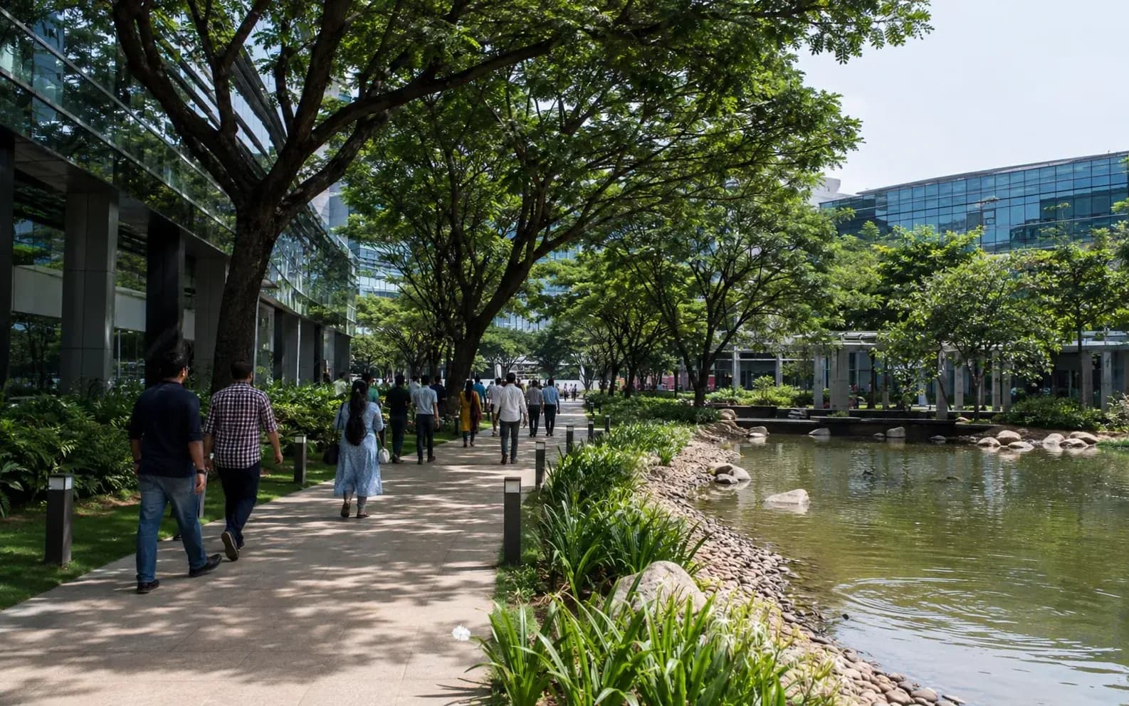 sector corporate campus