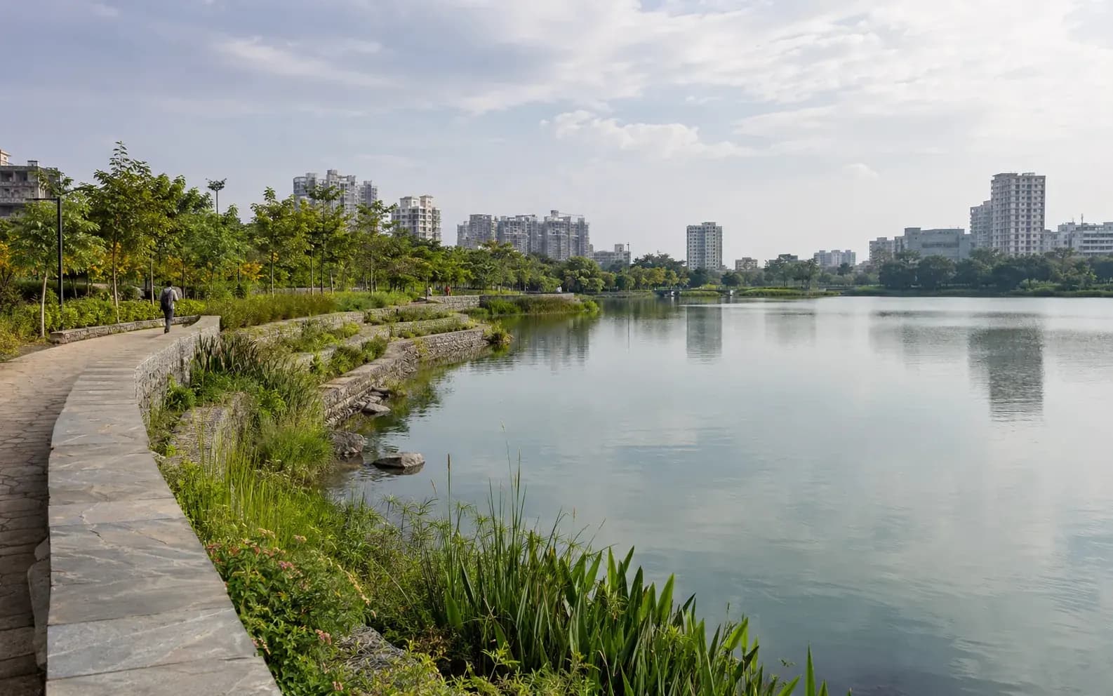 rejuvenated urban lake with clean water