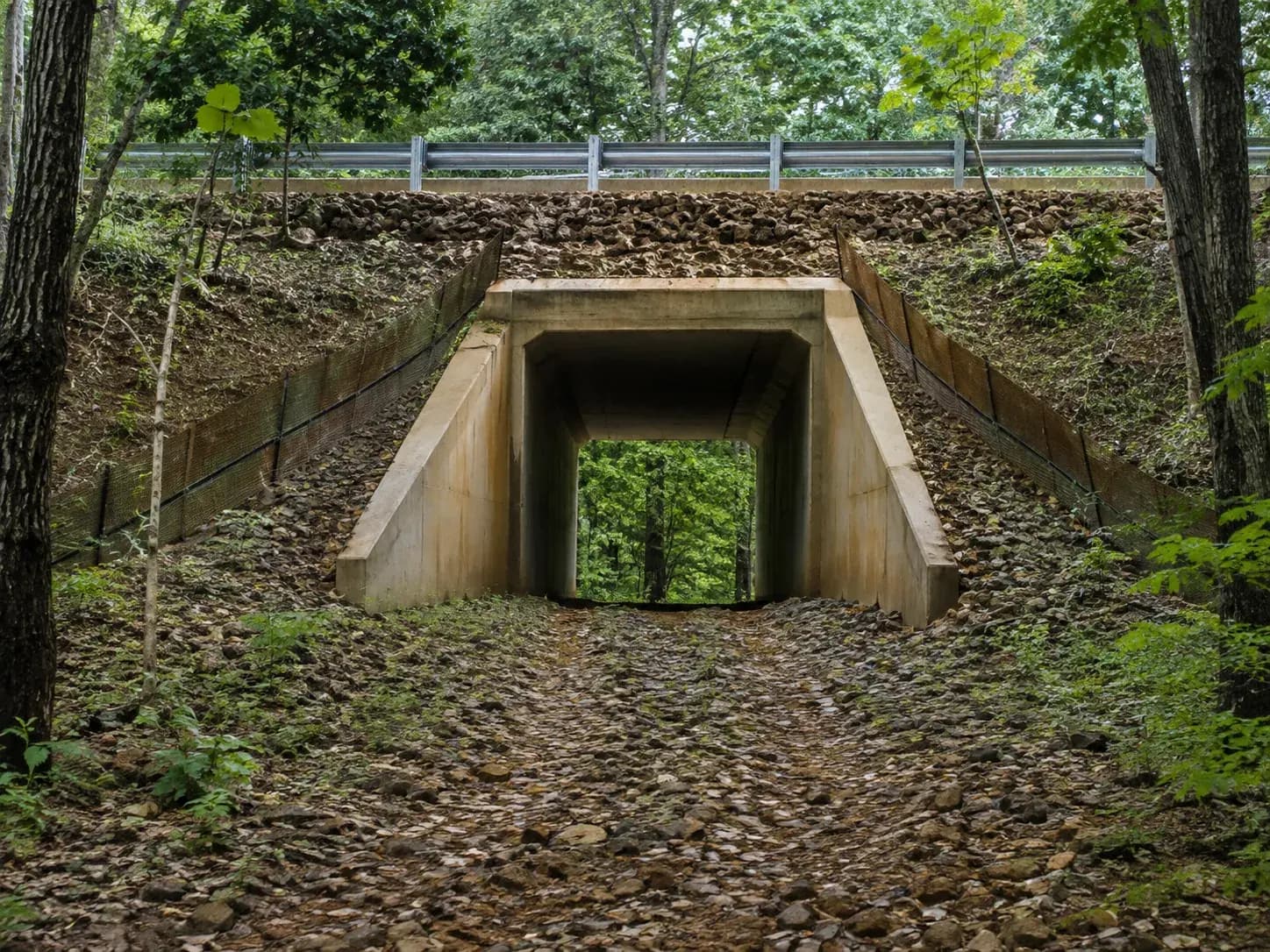 marked wildlife underpass beneath a highway embankment in forested terrain
