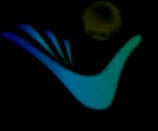 Bhagwati Group