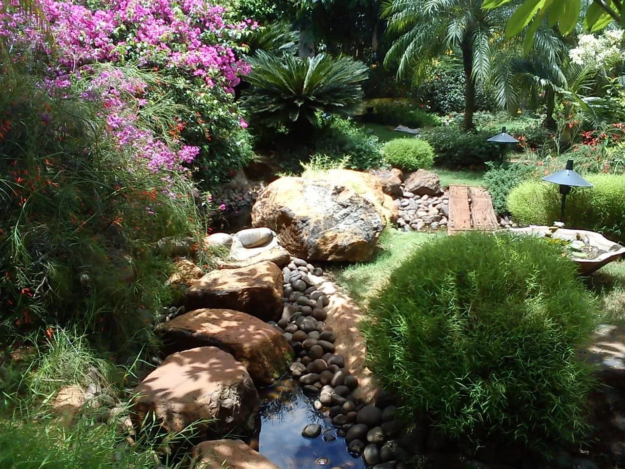 A landscaped stream bed of boulders and rounded cobbles running between planting, with bougainvillea in flower, cycads and palms