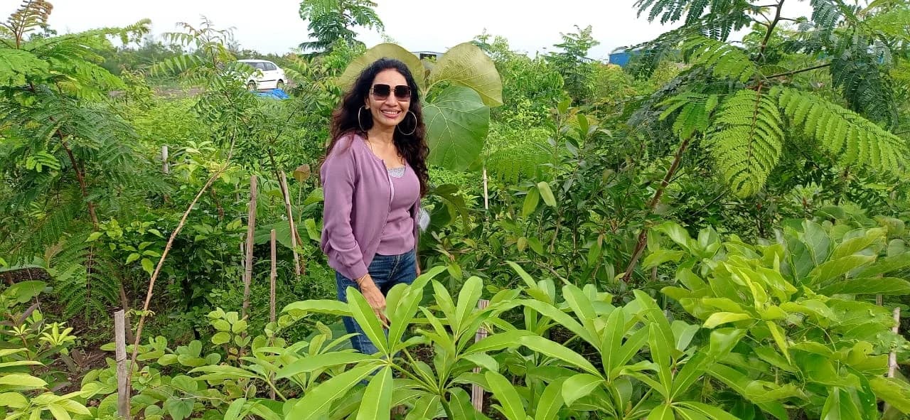 Mixed native species closing canopy at Jamnagar, a person standing within the planting for scale