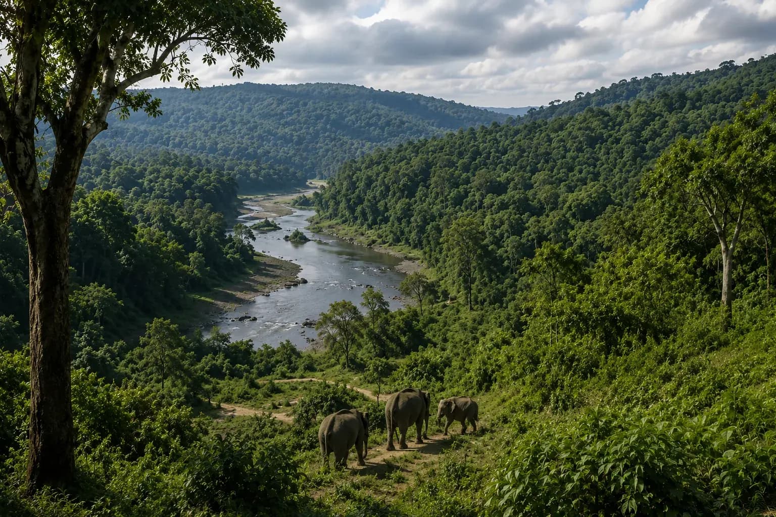 Wildlife habitat within a protected landscape