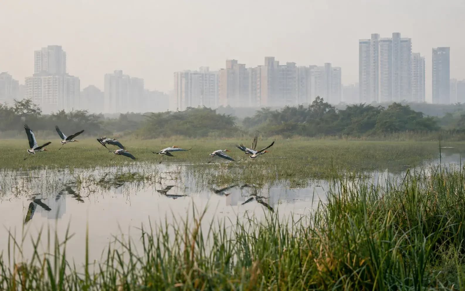 service wetland