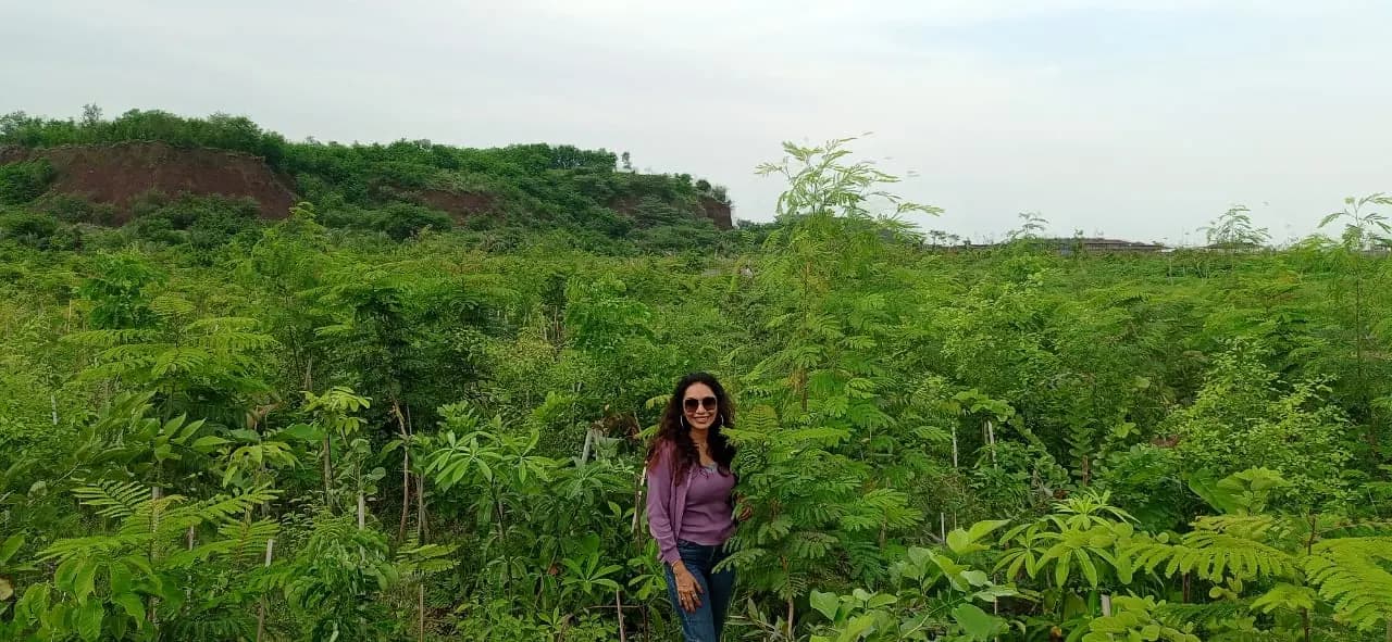 Dense young Miyawaki planting of mixed native species filling the frame, a person standing within it for scale, and the bare excavated slope of the original ground along the skyline